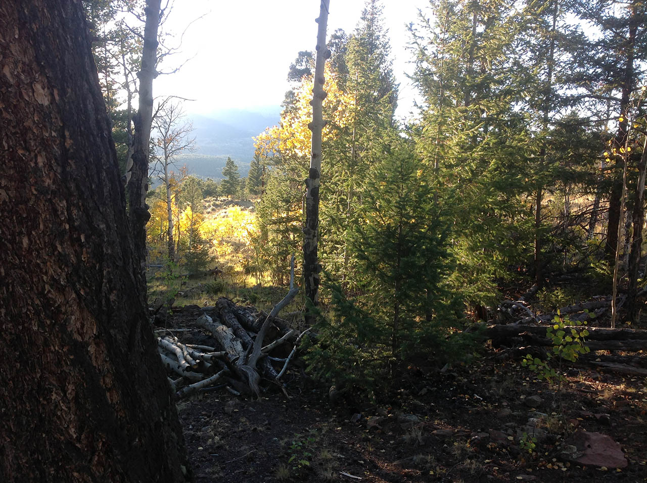 lot sn 190 for sale at campground of the rockies